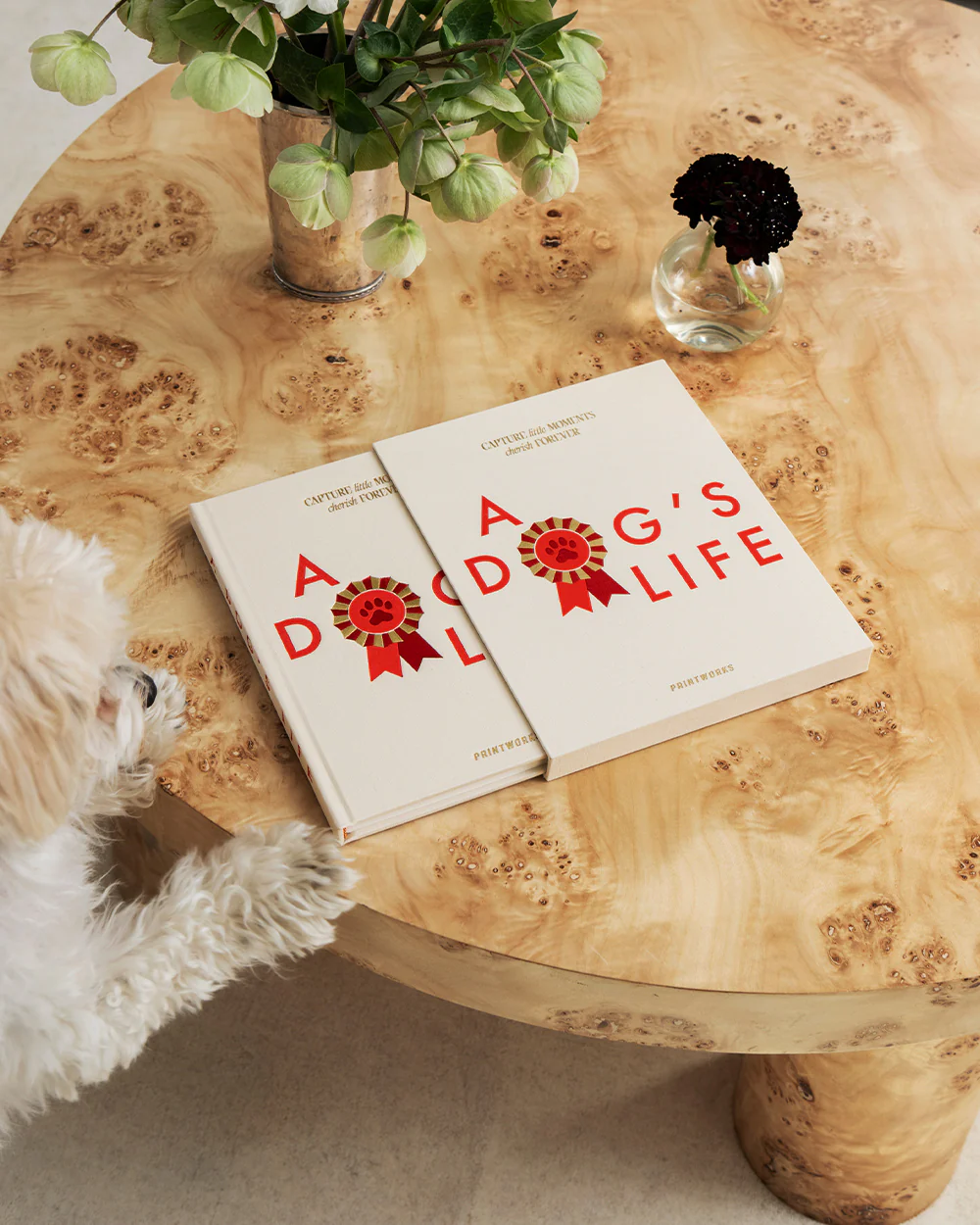A Dog's Life - Image 4
