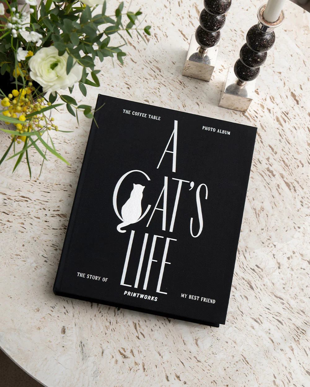 A Cat's Life - Image 5
