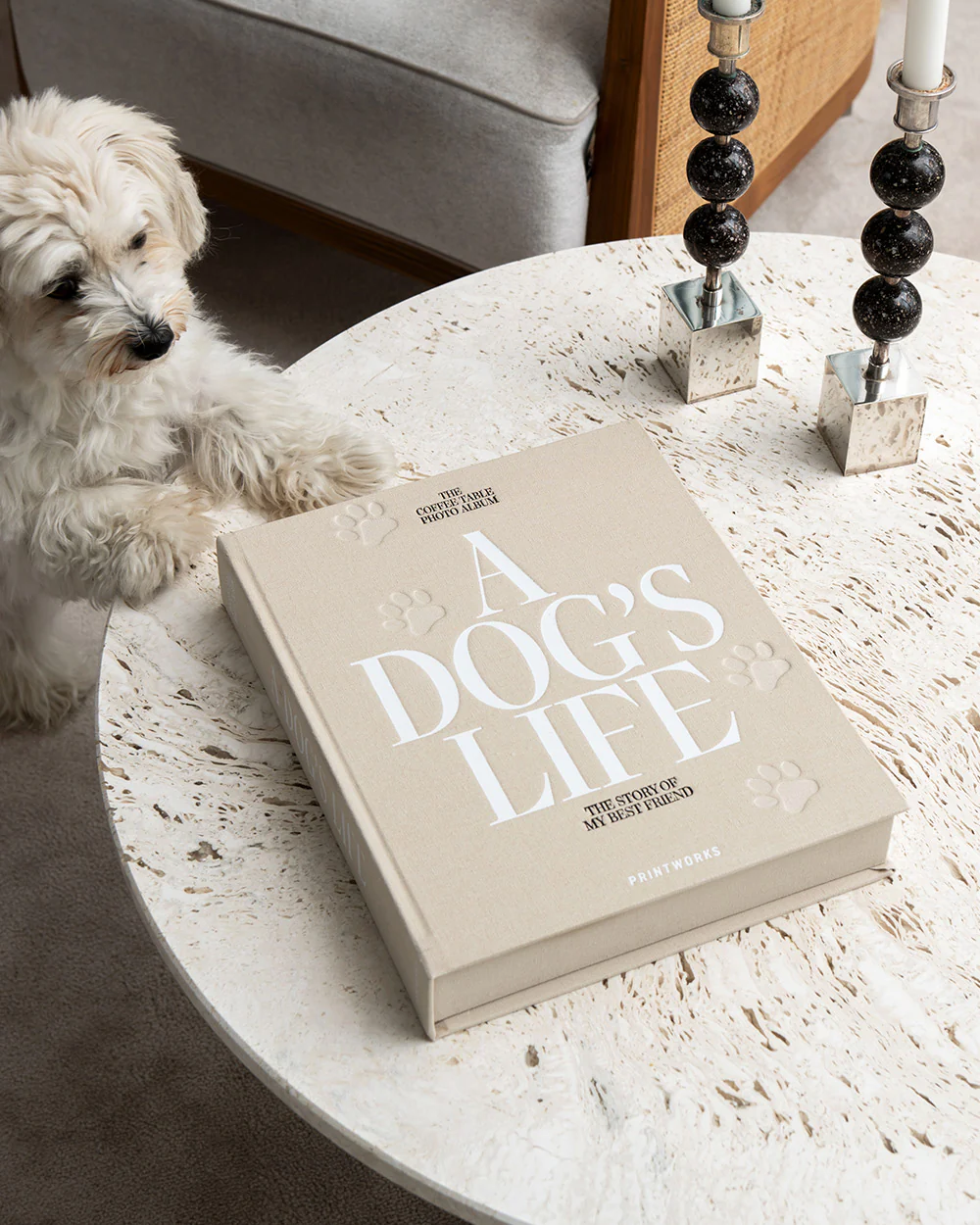 Dog Set - Image 2