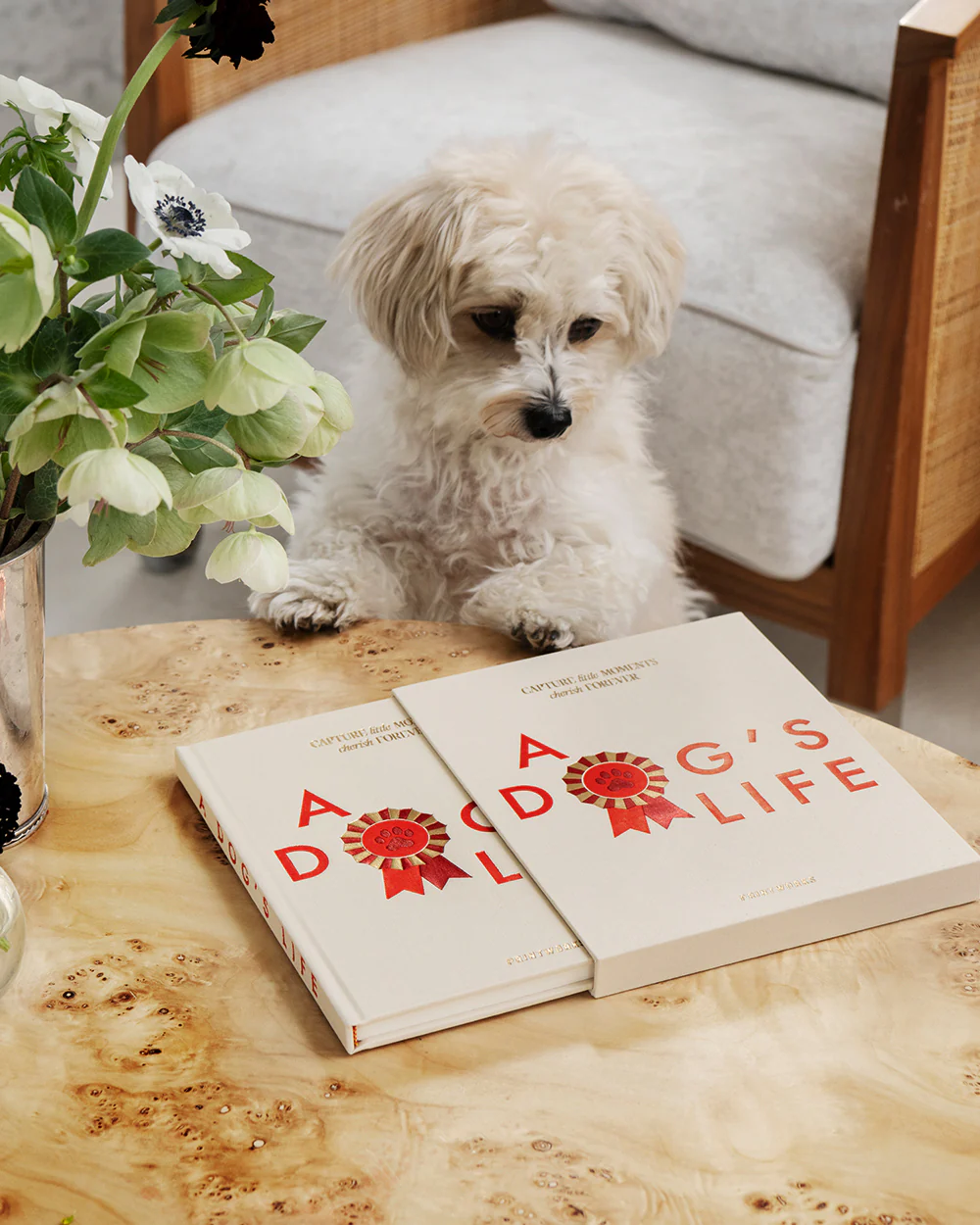 Dog Set - Image 3