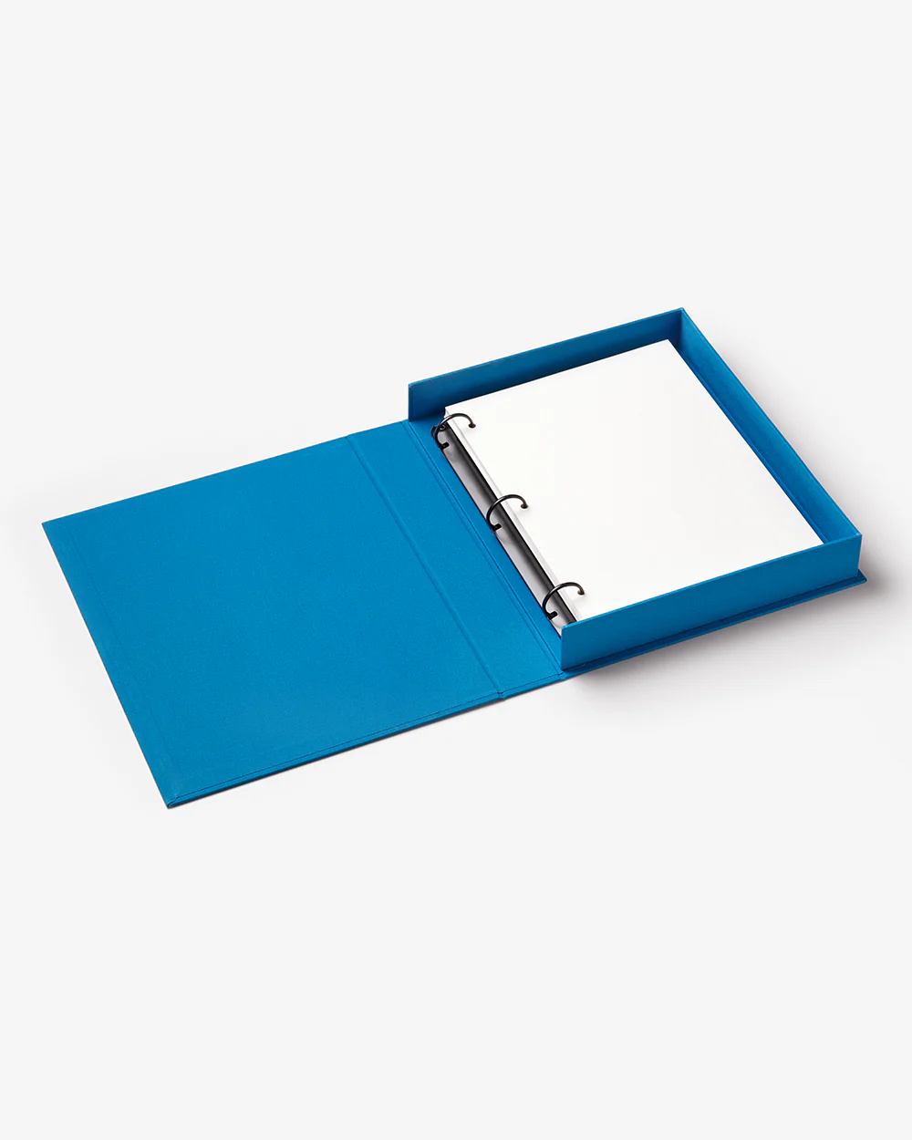 Life in Pictures, Blue - Image 3